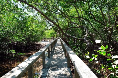 Things to do in Bais City .